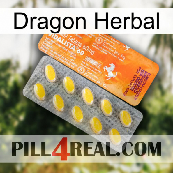 Dragon Herbal new05.jpg